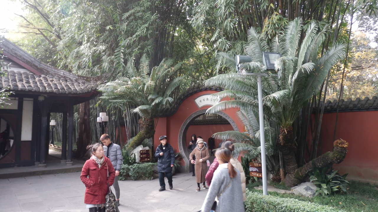 パンダの故郷 四川省成都を巡る旅 成都 中国 の旅行記 ブログ By どぅららさん フォートラベル