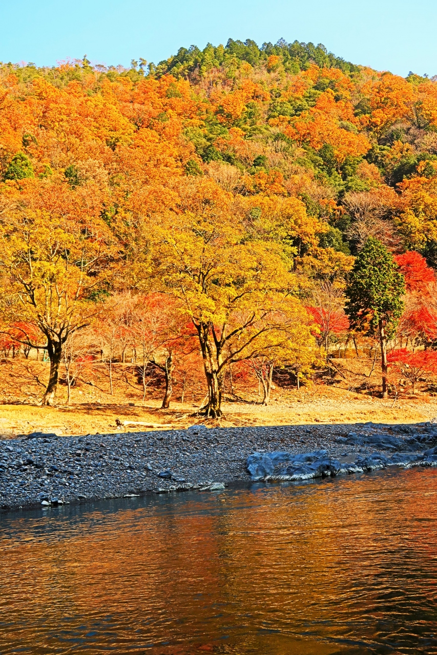 京都 8 保津川下り5 6 亀岡 嵐山 小倉山あたり 紅葉の名所 陽光に映え 嵐山 嵯峨野 太秦 桂 京都 の旅行記 ブログ By マキタン2さん フォートラベル 京都 8 保津川下り5 6 亀岡 嵐山 小倉山あたり 紅葉の名所 陽光に映え 嵐山 嵯峨野 太秦 桂 京都 の旅行記 ブログ By マキタン2さん フォートラベル