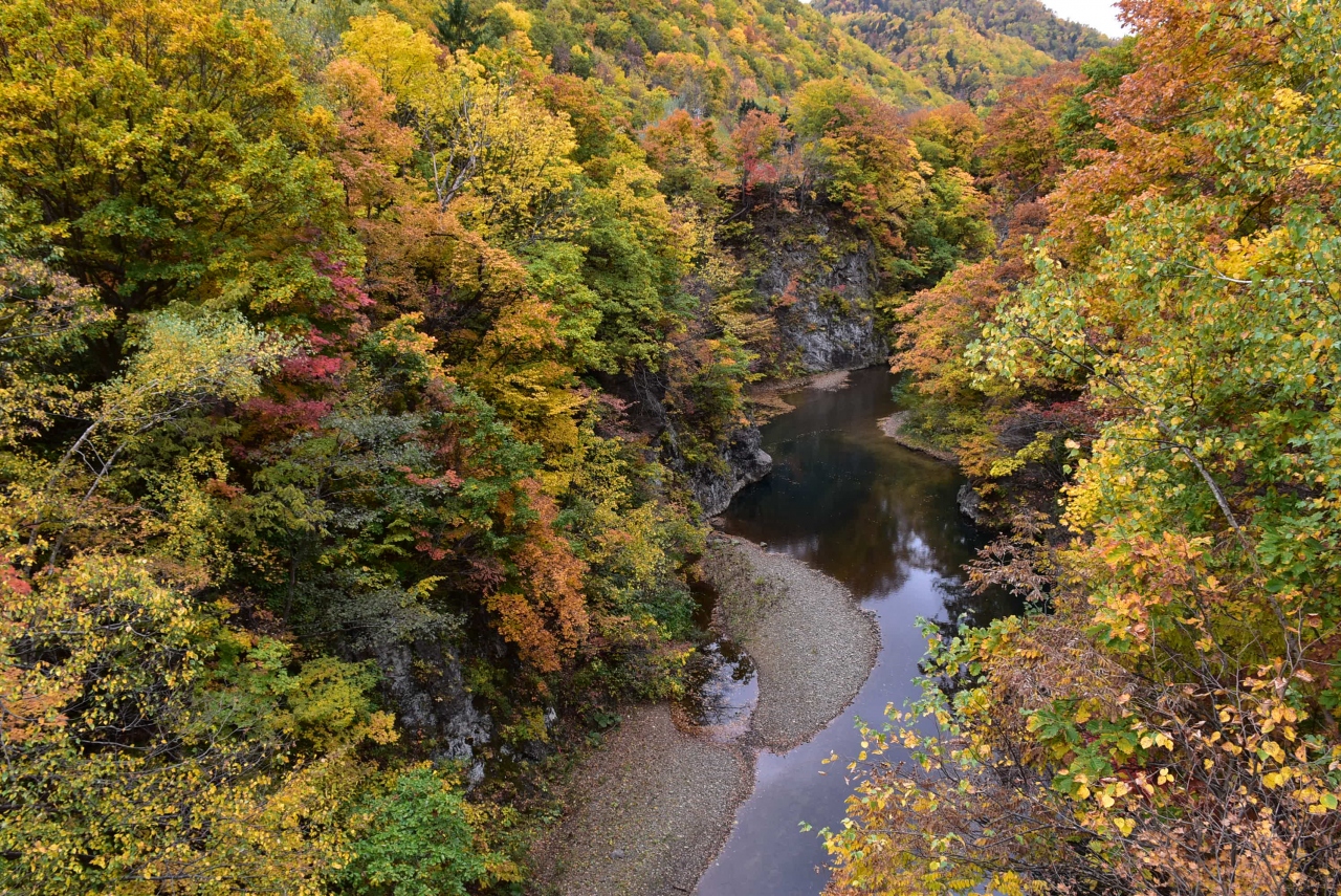 紅葉真っ盛りの定山渓 豊平川と鉄道廃線跡を巡る旅 17 北海道 定山渓温泉 北海道 の旅行記 ブログ By かっちんさん フォートラベル