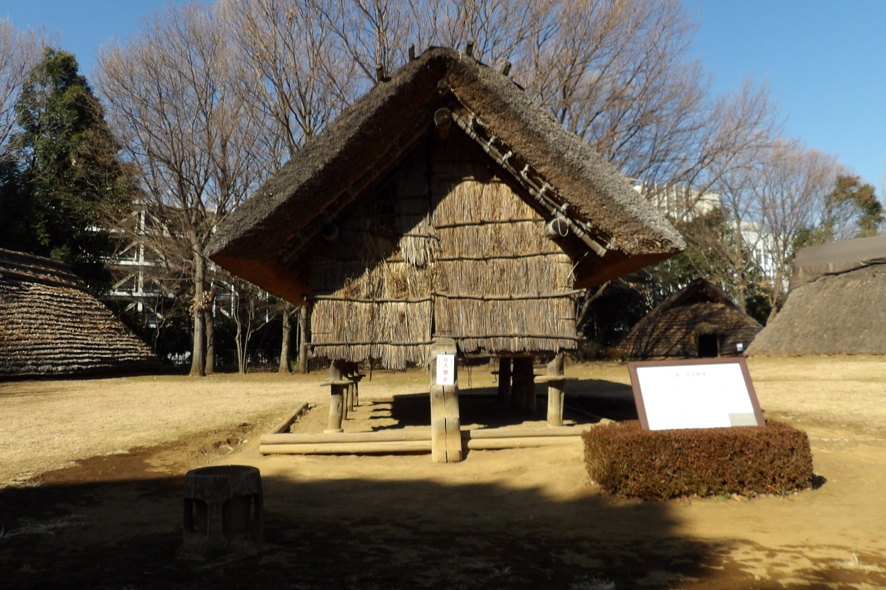 大塚遺跡 横浜市都筑区大棚西 港北 長津田 青葉 神奈川県 の旅行記 ブログ By ドクターキムルさん フォートラベル