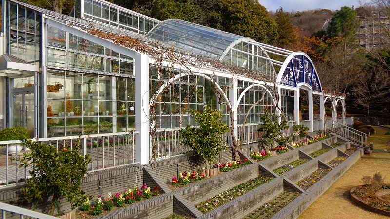 五月山緑地都市緑化植物園 温室編 池田 大阪 の旅行記 ブログ By Hn11さん フォートラベル