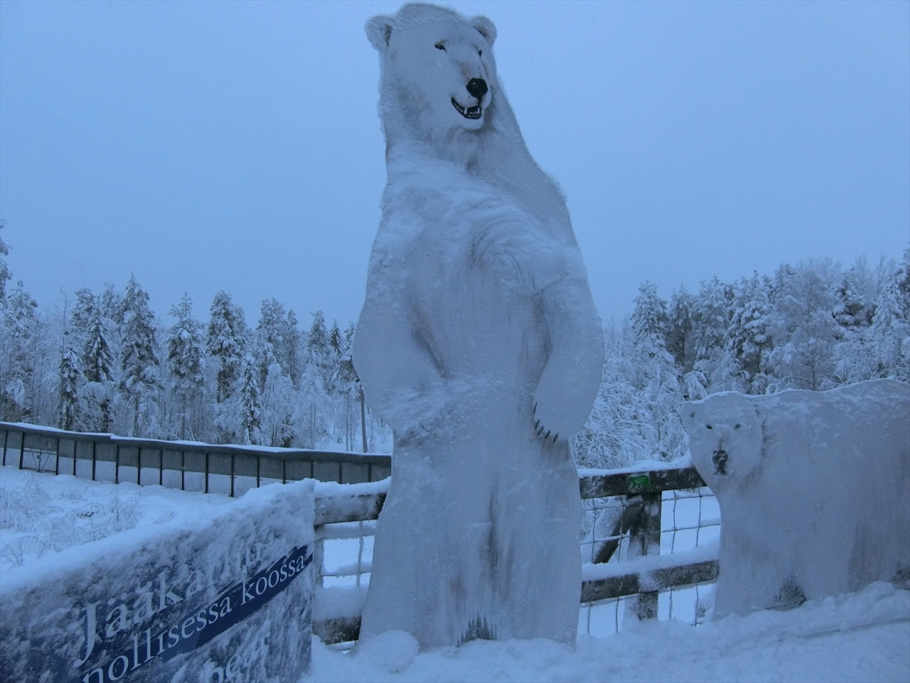 17年 年末年始 フィンランド ２ ラヌア動物園 オウル フィンランド の旅行記 ブログ By Takashi Yさん フォートラベル
