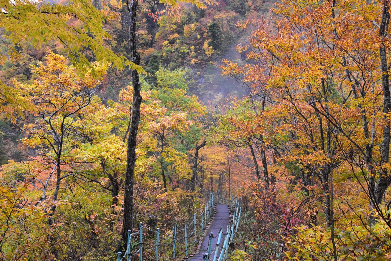 秋色に染まる秘境秋山郷 17 新潟 十日町 津南 新潟県 の旅行記 ブログ By かっちんさん フォートラベル