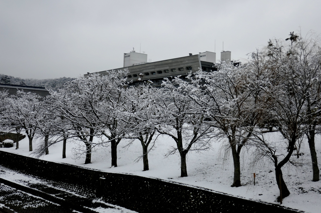 18 1京都2往復出張2 ホテルモントレ京都 雪の国際会館 セカンドハウス北山店で昼食 京都の旅行記 ブログ By Suomita2さん フォートラベル