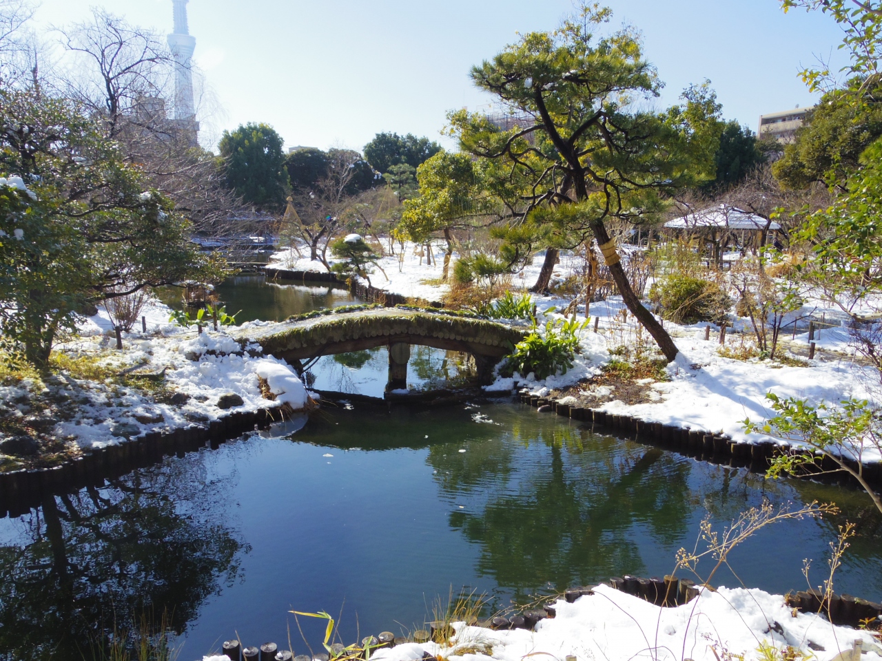 雪の降った翌日の向島百花園 東京の旅行記 ブログ By 夏への扉さん フォートラベル