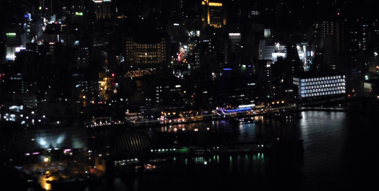 ２０１７年１１月長崎１日目 夜景見学ツアーバスで稲佐山の世界新三大夜景を見ました 長崎市 長崎県 の旅行記 ブログ By イロコさん フォートラベル