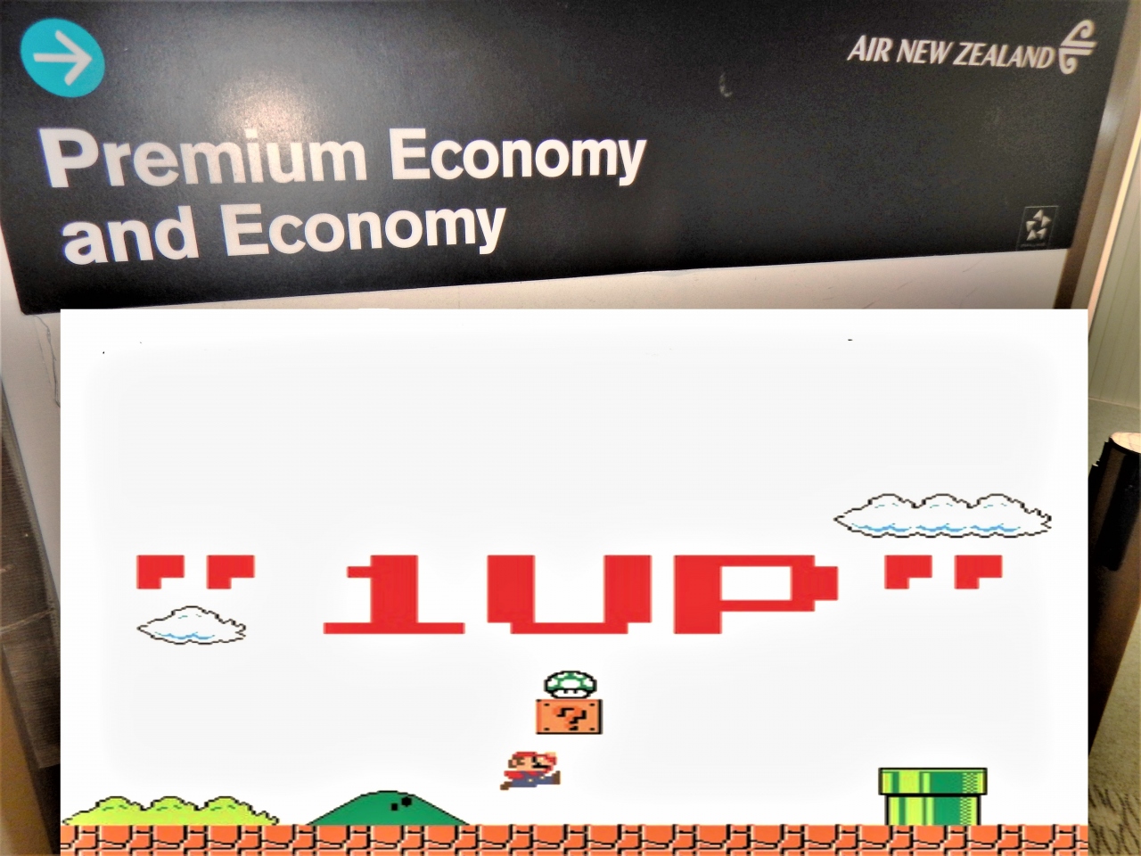往路oneup成功 復路スカイカウチで楽チン旅 オークランド ニュージーランド の旅行記 ブログ By Happyさん フォートラベル