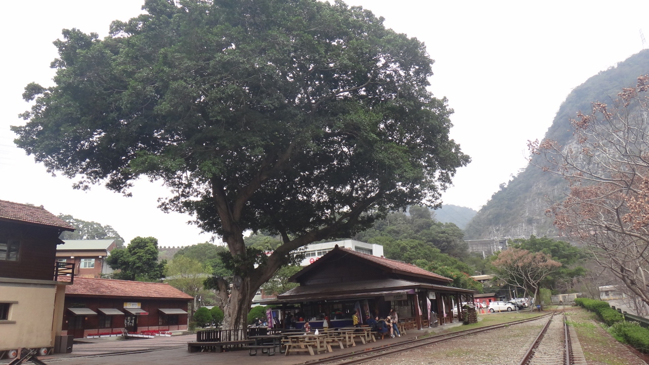 台北から新幹線で集集線に乗りに行きました 集集線周辺 台湾 の旅行記 ブログ By Tono2さん フォートラベル
