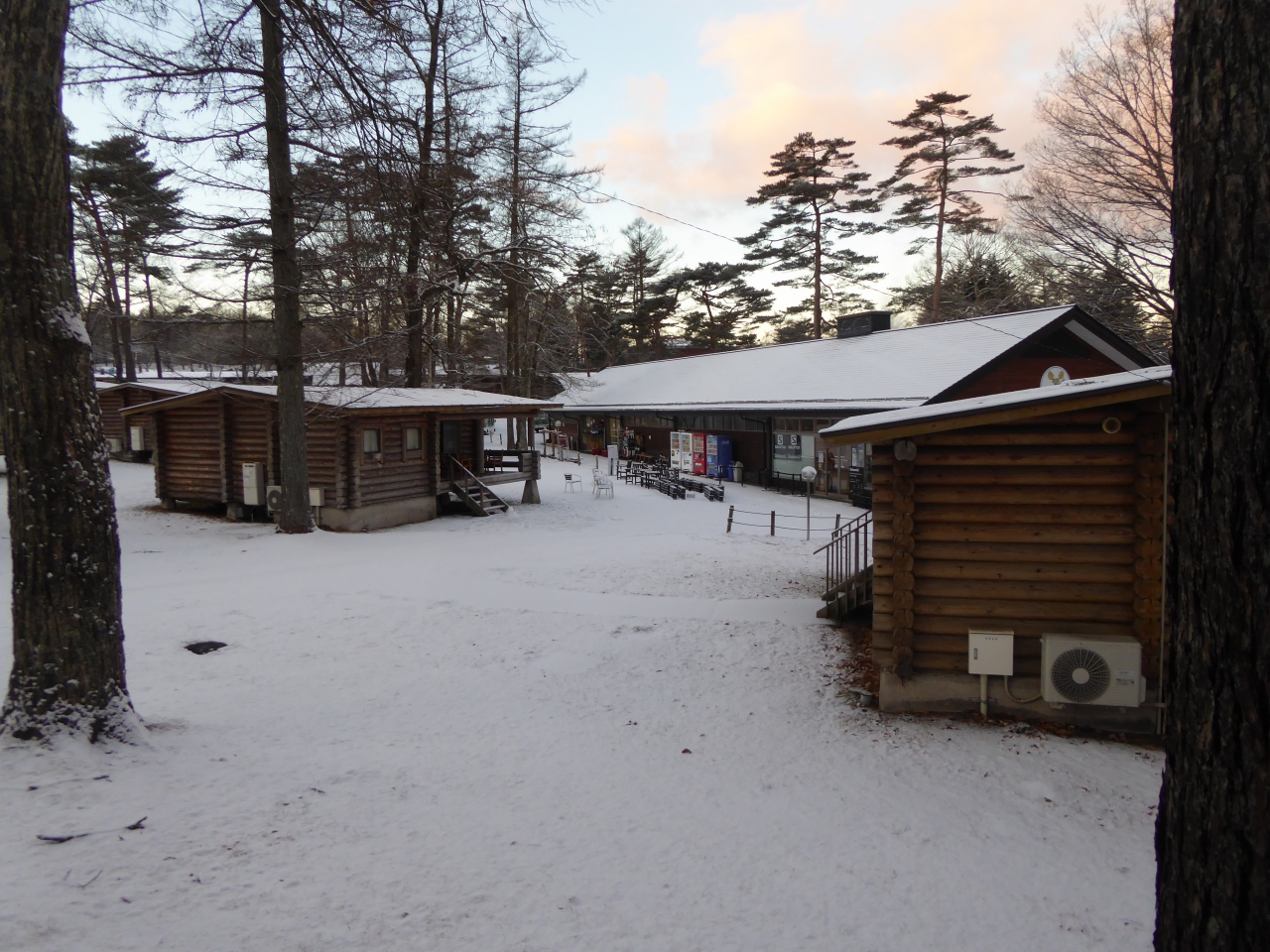 冬の軽井沢 Vol 8 第3日 軽井沢プリンスホテルドッグコテージの朝食 軽井沢 長野県 の旅行記 ブログ By コトルさん フォートラベル