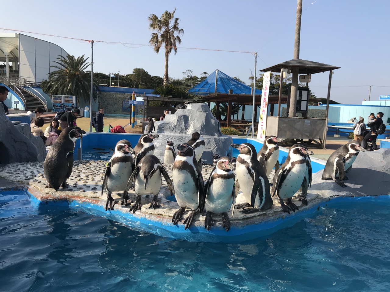 南知多ビーチランド 愛知道の駅巡り 内海 南知多 愛知県 の旅行記 ブログ By 河谷海山さん フォートラベル