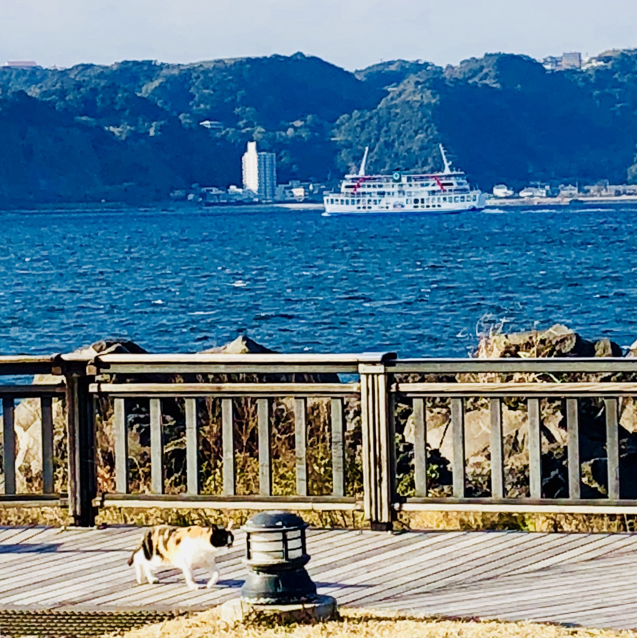 初めての鹿児島てくてく旅 桜島 古里温泉 鹿児島県 の旅行記 ブログ By Chiru さん フォートラベル