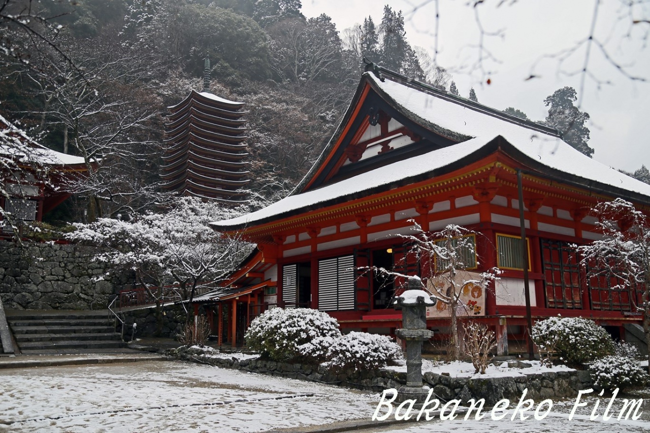 念願 雪の談山神社 桜井 三輪 山の辺の道 奈良県 の旅行記 ブログ By Bakanekoさん フォートラベル