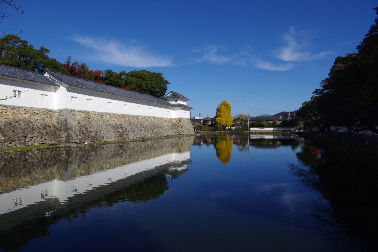 遠距離の友達と真ん中地点で遊ぶ旅 滋賀県の旅行記 ブログ By のいさん フォートラベル