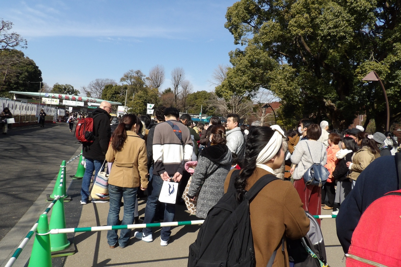 上野公園と動物園の観覧整理券発行場所 上野 御徒町 東京 の旅行記 ブログ By ドクターキムルさん フォートラベル