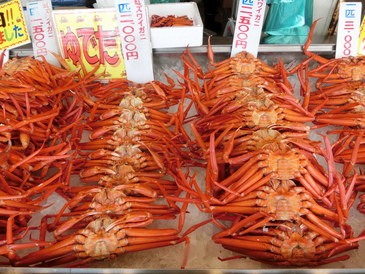 18冬 寺泊までカニを買いに行きました 長岡 寺泊 新潟県 の旅行記 ブログ By あーちゃんさん フォートラベル 18冬 寺泊までカニを買いに行きました 長岡 寺泊 新潟県 の旅行記 ブログ By あーちゃんさん フォートラベル
