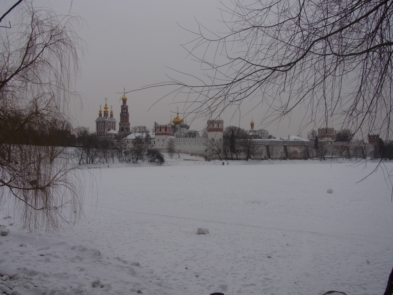 冬のモスクワの旅 白鳥の湖 ー ２０１２年２月１１日 モスクワ ロシア の旅行記 ブログ By Tadさん フォートラベル