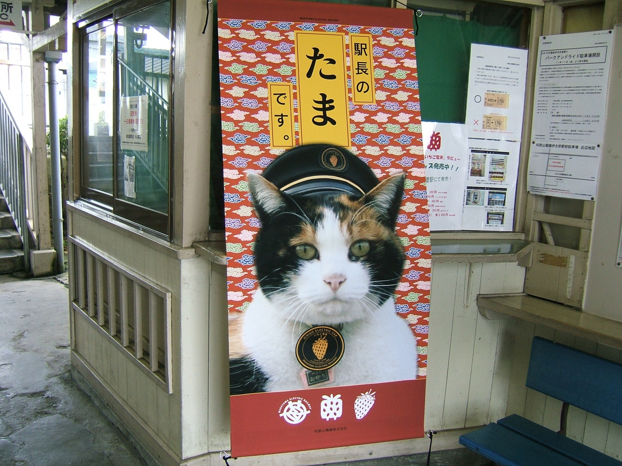たま駅長に ゞ 敬礼 岩出 紀の川 和歌山県 の旅行記 ブログ By スカgさん フォートラベル たま駅長に ゞ 敬礼 岩出 紀の川 和歌山県 の旅行記 ブログ By スカgさん フォートラベル
