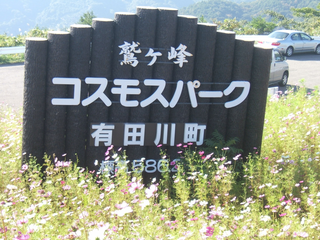 大好きなコスモスの絶景 有田 有田川 和歌山県 の旅行記 ブログ By スカgさん フォートラベル 大好きなコスモスの絶景 有田 有田川 和歌山県 の旅行記 ブログ By スカgさん フォートラベル