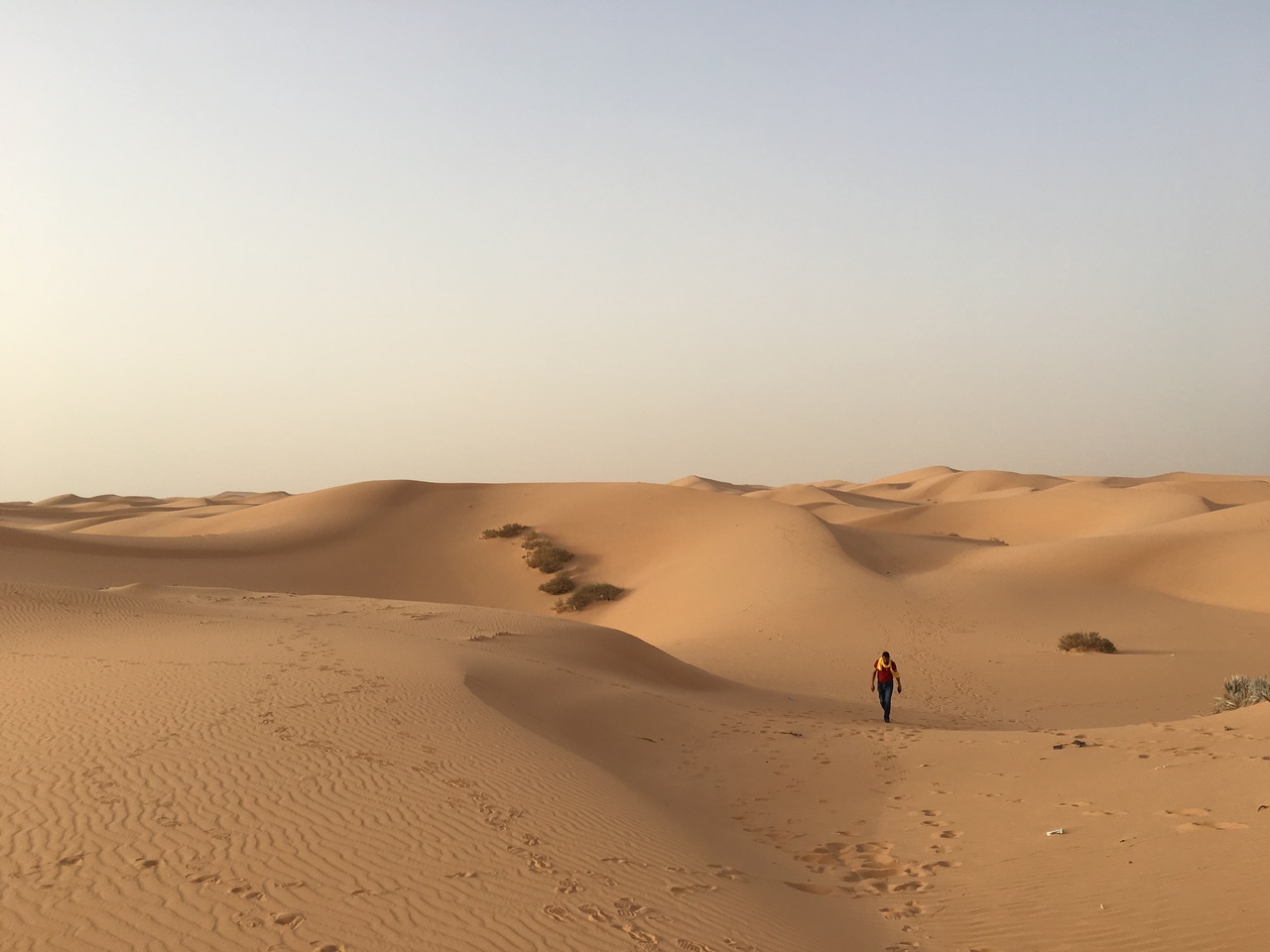 『早春のアルジェリアへ⑤ サハラ？うーん…』その他の都市(アルジェリア)の旅行記・ブログ by おりさん【フォートラベル】