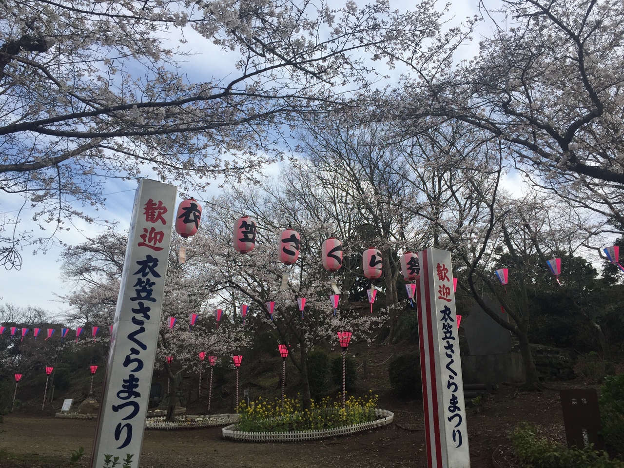 衣笠山へ桜を見に メロンパンをトビに持っていかれた 横須賀 神奈川県 の旅行記 ブログ By Melocotontonさん フォートラベル