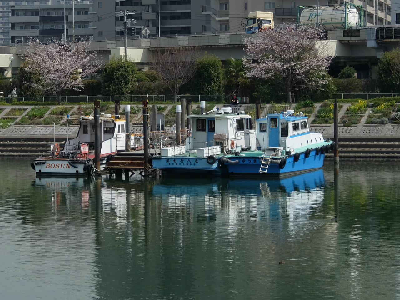 しながわ花海道 桜咲いて 菜の花咲いて 品川 東京 の旅行記 ブログ By 義臣さん フォートラベル