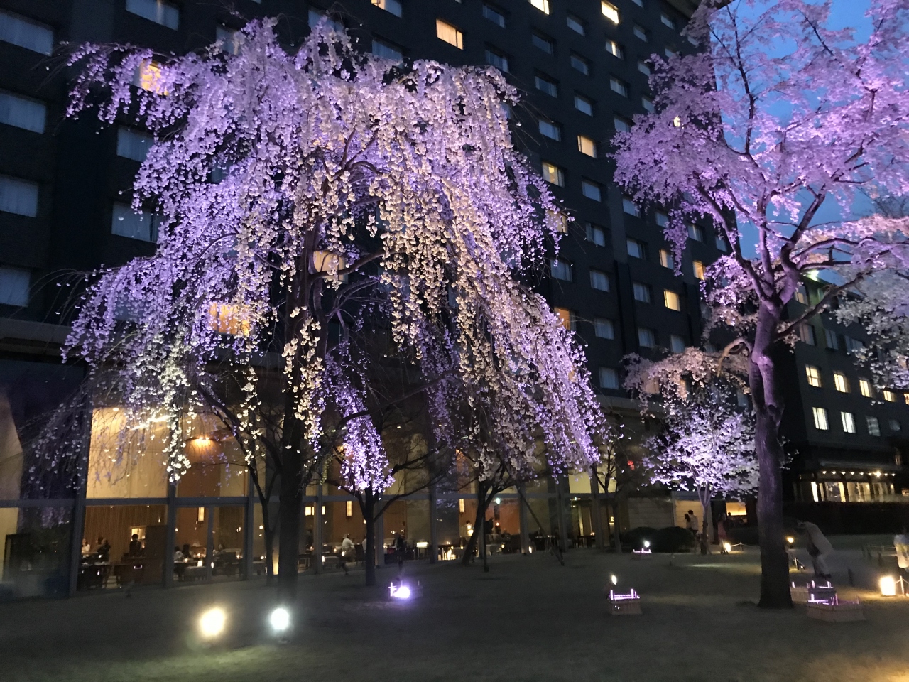 週末ホテルステイ ストリングスホテル品川インターコンチネンタルに泊まって朝食を 品川 東京 の旅行記 ブログ By Arurunさん フォートラベル