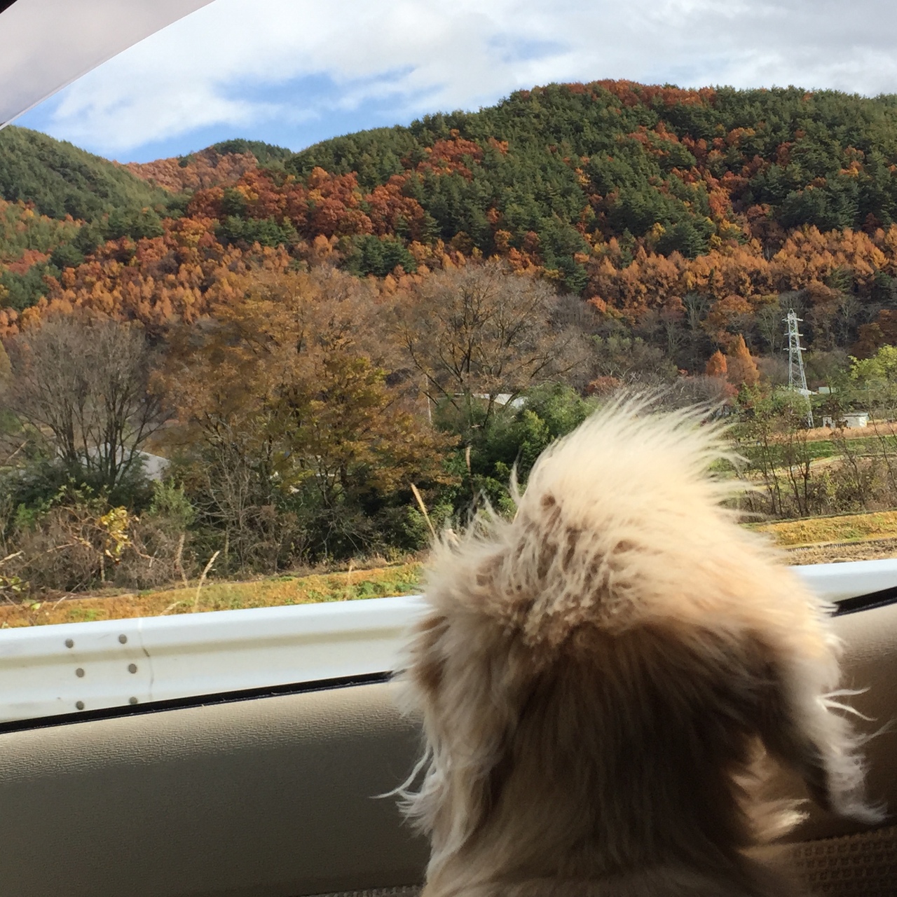 わんこと一緒 軽井沢アウトレット一泊二日の旅 軽井沢 長野県 の旅行記 ブログ By えいみーさん フォートラベル