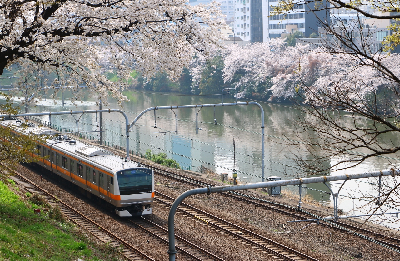 東京桜散歩 千鳥ヶ淵 靖国神社 外濠公園 四ツ谷 東京 の旅行記 ブログ By Oakatさん フォートラベル