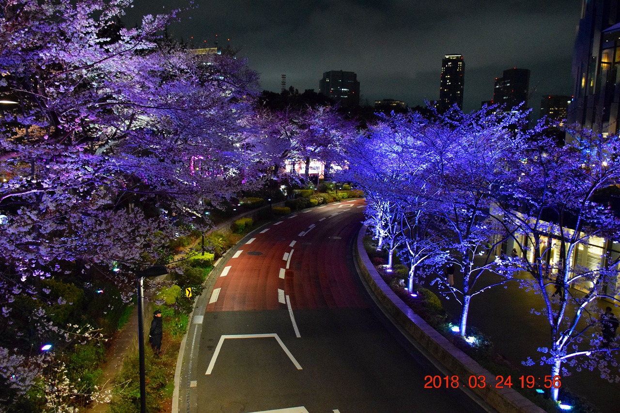 東京散策78 4 Tokyo Midtown Blossom 六本木 東京 の旅行記 ブログ By Jh2fxvさん フォートラベル