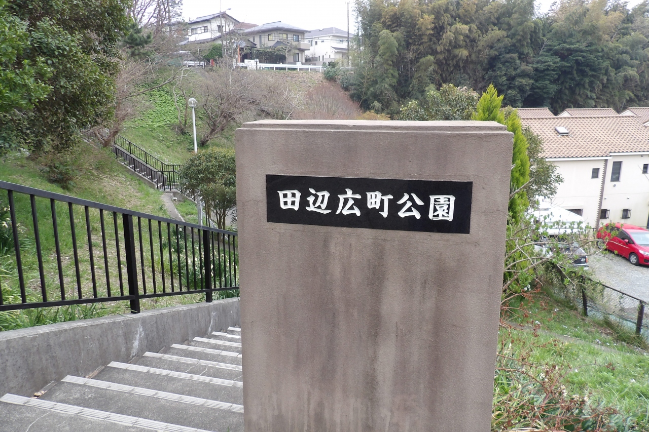 田辺広町公園 鎌倉市七里ガ浜1 鎌倉 神奈川県 の旅行記 ブログ By ドクターキムルさん フォートラベル 田辺広町公園 鎌倉市七里ガ浜1 鎌倉 神奈川県 の旅行記 ブログ By ドクターキムルさん フォートラベル