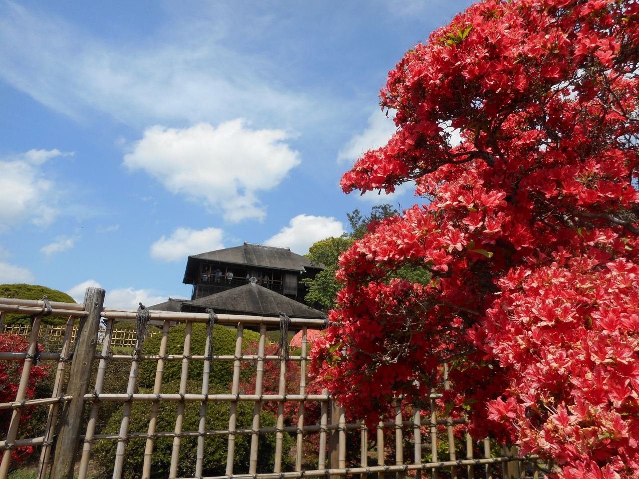 日本三名園のひとつ 水戸の偕楽園 水戸 茨城県 の旅行記 ブログ By ぷるネェさん フォートラベル 日本三名園のひとつ 水戸の偕楽園 水戸 茨城県 の旅行記 ブログ By ぷるネェさん フォートラベル