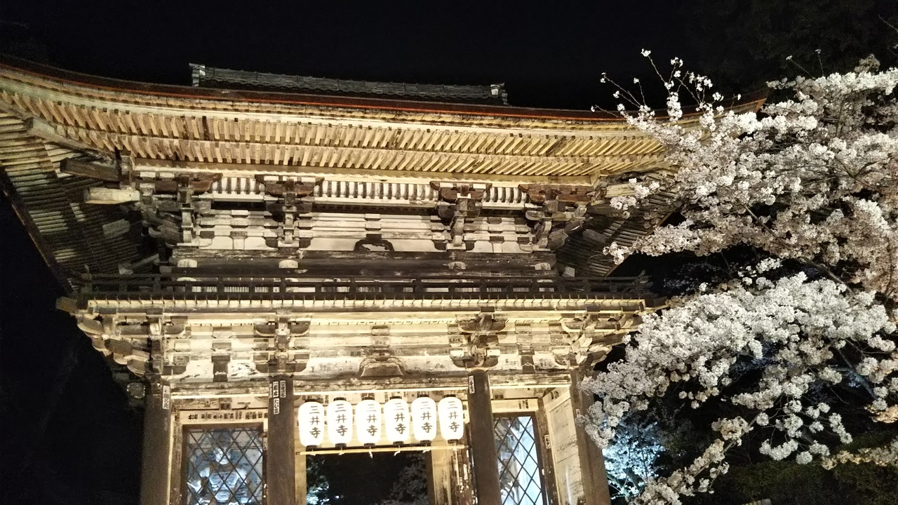 夜桜 三井寺 大津 滋賀県 の旅行記 ブログ By とある和菓子好きさん フォートラベル