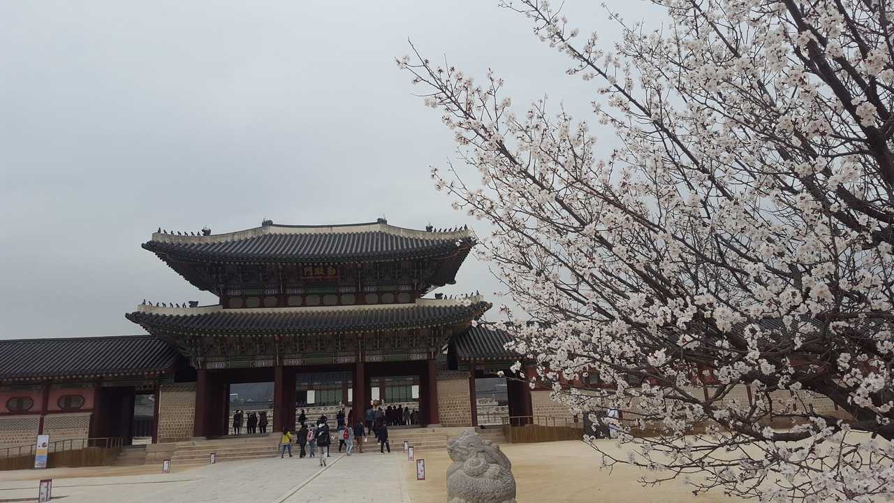 1泊2日初めての海外一人旅in韓国 ソウル 韓国 の旅行記 ブログ By Apeach777さん フォートラベル