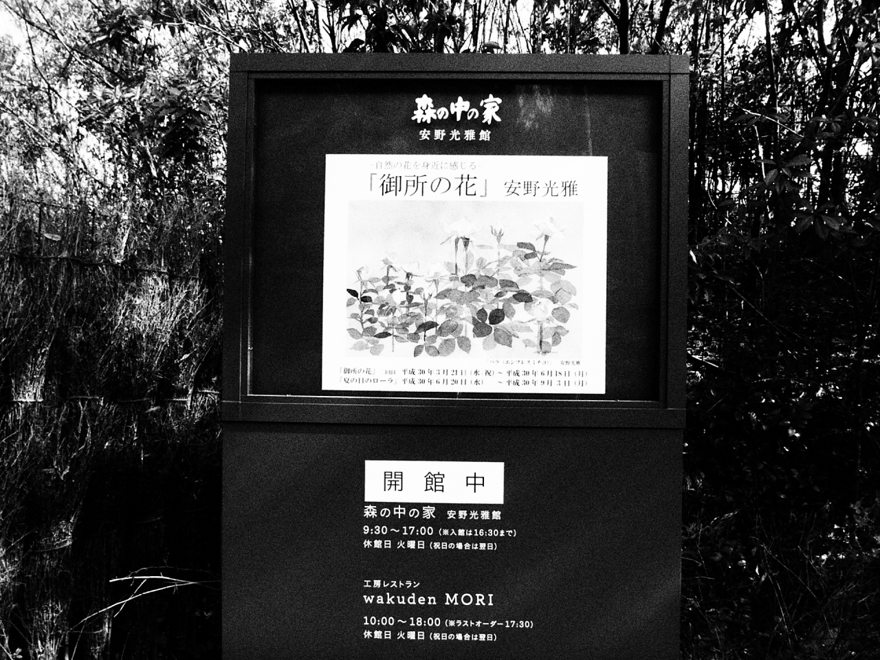 森の中の家 安野光雅館を訪ねて 丹後半島 京都 の旅行記 ブログ By Crambon1948さん フォートラベル 森の中の家 安野光雅館を訪ねて 丹後半島 京都 の旅行記 ブログ By Crambon1948さん フォートラベル