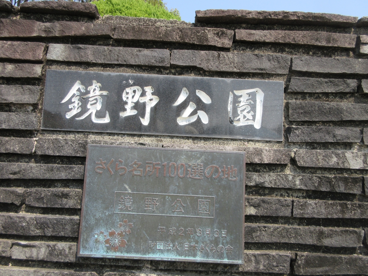 日本桜名所100選 高知県立鏡野公園 の花見 鏡野公園 高知工科大学で花見楽しむ２ 南国 土佐山田 香南 高知県 の旅行記 ブログ By Satoshi S2さん フォートラベル