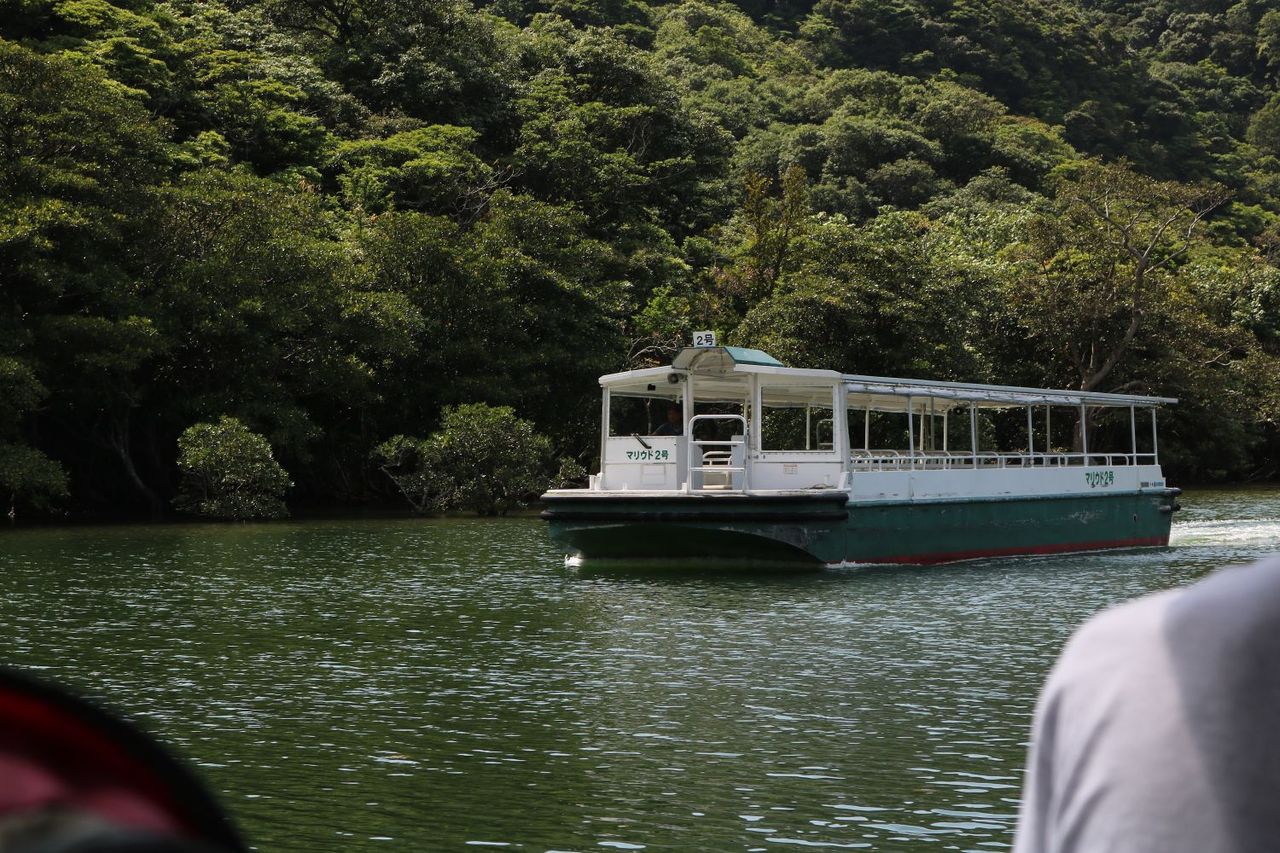浦内川観光 西表島 沖縄県 の旅行記 ブログ By Ats1109さん フォートラベル