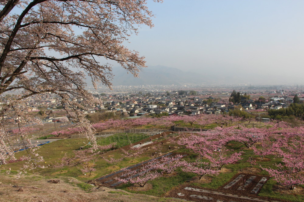 桃の花を見に 山梨へ 笛吹 山梨県 の旅行記 ブログ By アトムさん フォートラベル 桃の花を見に 山梨へ 笛吹 山梨県 の旅行記 ブログ By アトムさん フォートラベル