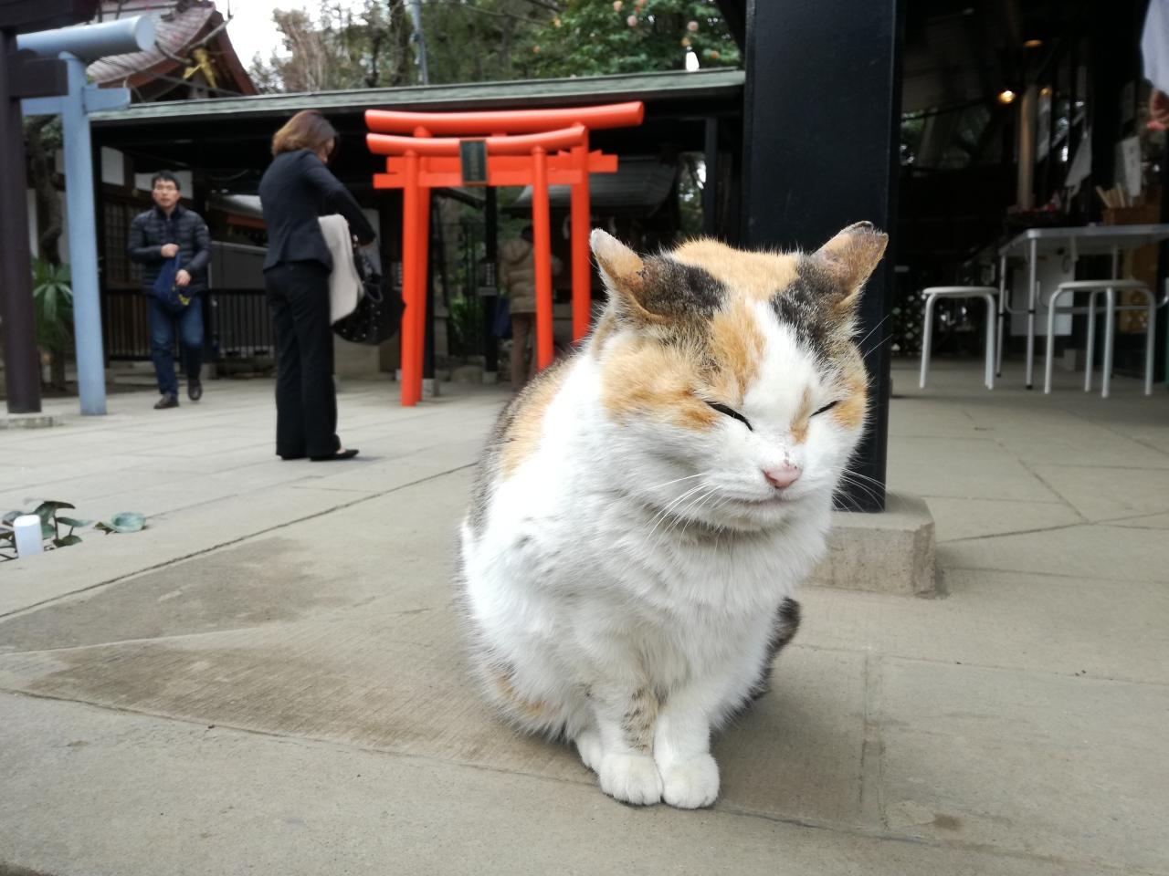 １８ 仕事運のパワースポット愛宕神社 東京駅周辺さんぽ 東京の旅行記 ブログ By たーさん フォートラベル