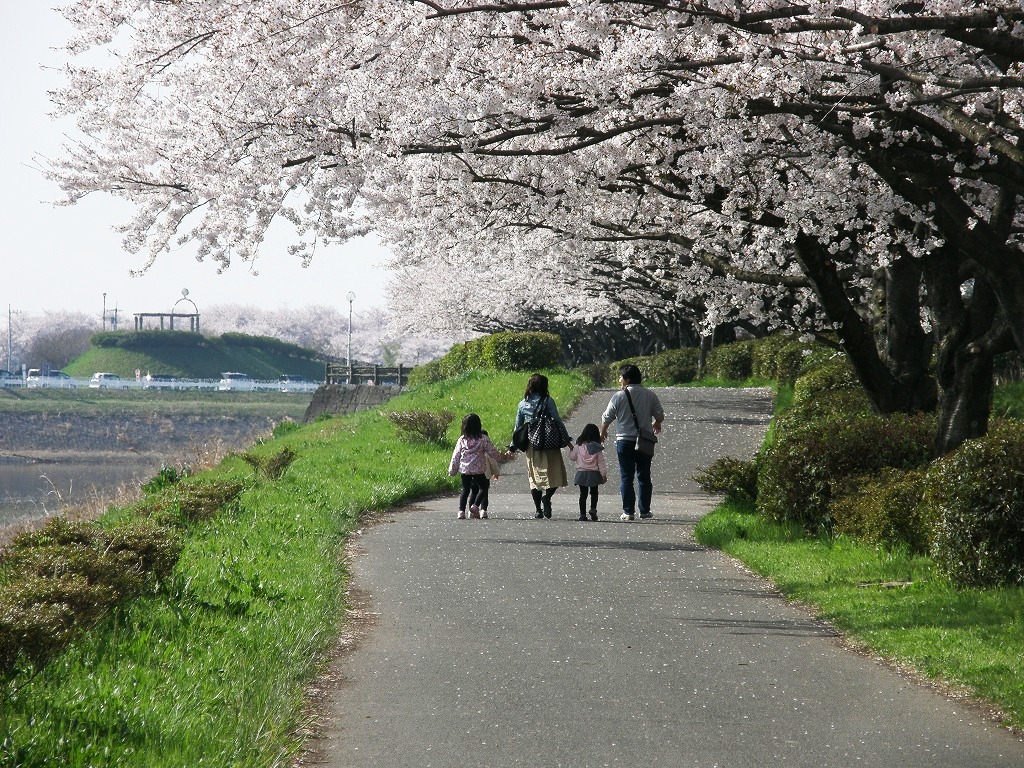 権現堂堤桜まつりは大混雑 工夫し桜堤を楽しみました ー 1 権現堂公園 1号公園 から権現堂堤まで 幸手 久喜 栗橋 埼玉県 の旅行記 ブログ By いっちゃんさん フォートラベル