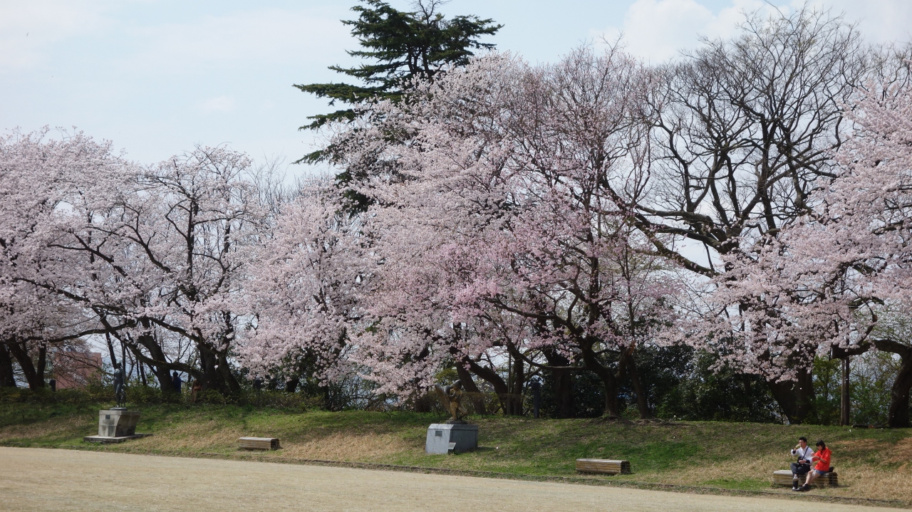 高岡古城公園の桜が満開でした とってもきれいなところです 高岡 富山県 の旅行記 ブログ By Nomonomoさん フォートラベル