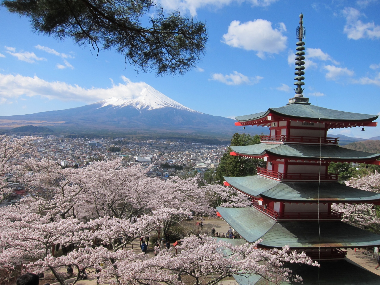 桜咲く 合格祈願の開運桜と富士山i 更に大サイズ高画質 超特価sale開催 更に大サイズ高画質