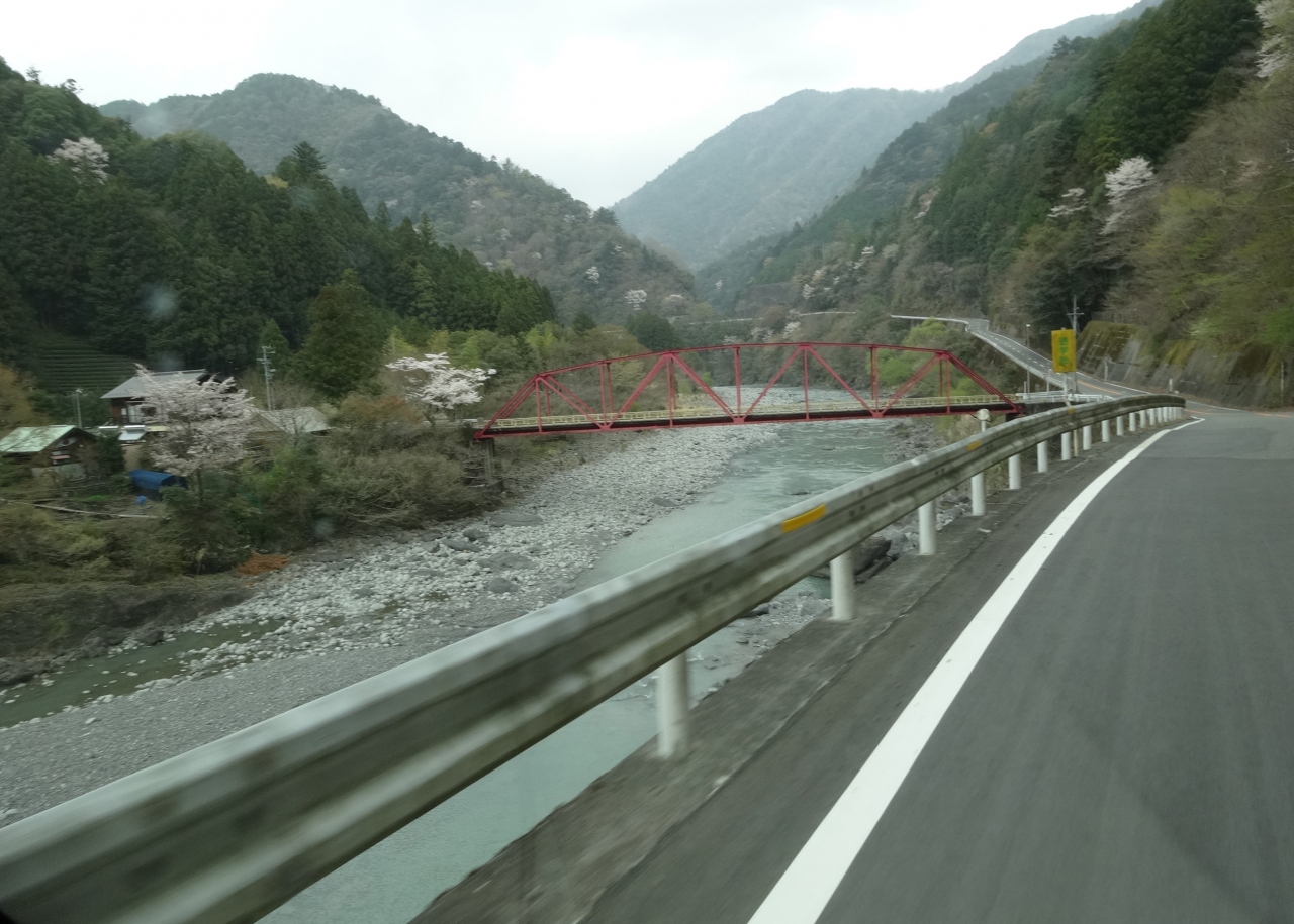 桜咲く奥大井で車中泊 その5 その名に恥じぬ寸又峡の 夢の吊橋 寸又峡温泉 静岡県 の旅行記 ブログ By Motogenさん フォートラベル 桜咲く奥大井で車中泊 その5 その名に恥じぬ寸又峡の 夢の吊橋 寸又峡温泉 静岡県 の旅行記 ブログ By Motogenさん フォートラベル