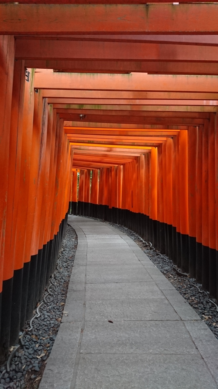18年4月 京都半日観光 二条 烏丸 河原町 京都 の旅行記 ブログ By ラスカルさん フォートラベル
