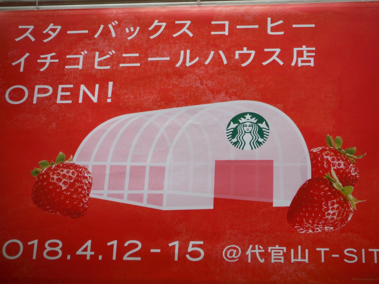 スタバ イチゴビニールハウス店に行ってきましたぁ 渋谷 東京 の旅行記 ブログ By ピンクパインさん フォートラベル