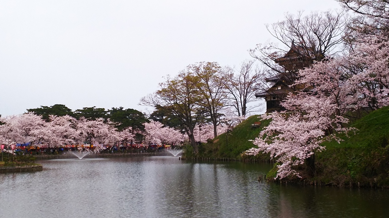 上越高田 桜まつり 春日山へ 上越 直江津 新潟県 の旅行記 ブログ By きー坊さん フォートラベル