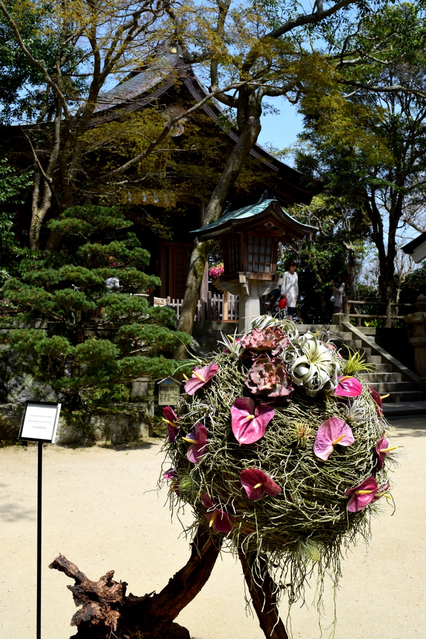 3 志賀島 志賀海神社 のニコライバーグマン 博多 福岡県 の旅行記 ブログ By Sakoさん フォートラベル