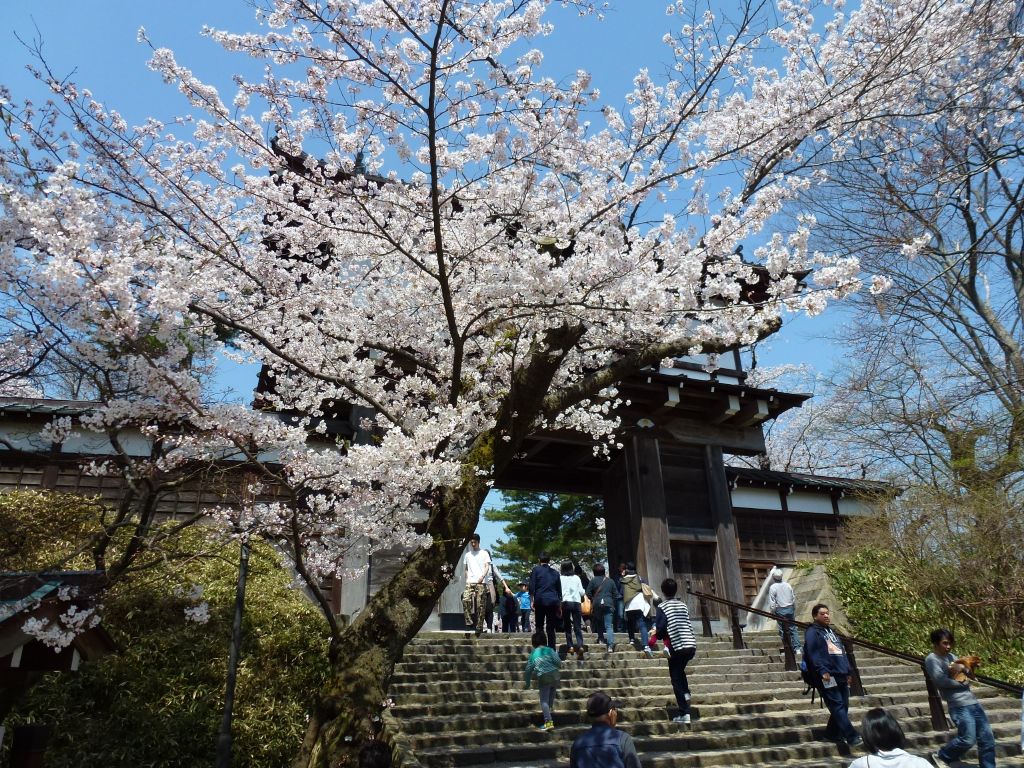 旧友と行く秋田先輩墓参りの旅 角館 秋田県 の旅行記 ブログ By Take Sさん フォートラベル 旧友と行く秋田先輩墓参りの旅 角館 秋田県 の旅行記 ブログ By Take Sさん フォートラベル