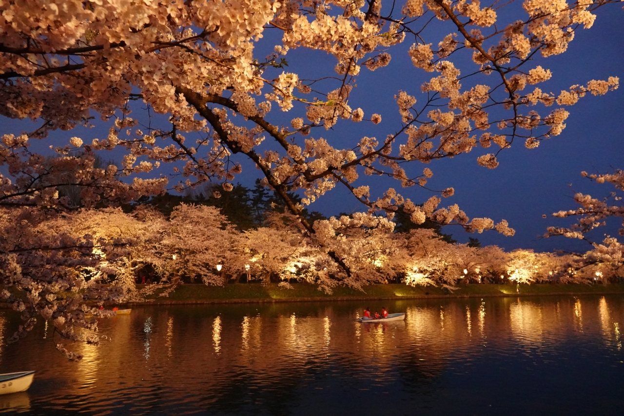 1回は見たかった 弘前城の桜 18 弘前 青森県 の旅行記 ブログ By Yasuさん フォートラベル