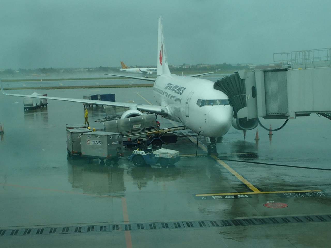Jl804便で 本降りの台湾から日本へ 737 800機材 桃園 台湾 の旅行記 ブログ By 板橋さん フォートラベル