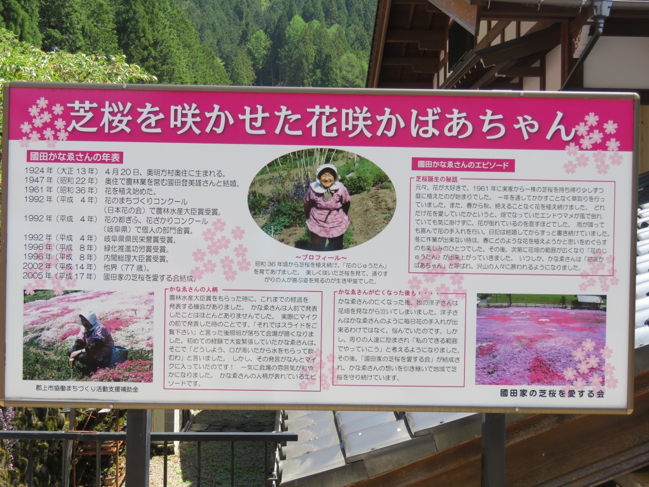 國田さんの芝桜を見に行ってきました 郡上八幡 岐阜県 の旅行記 ブログ By てらぴ さん フォートラベル